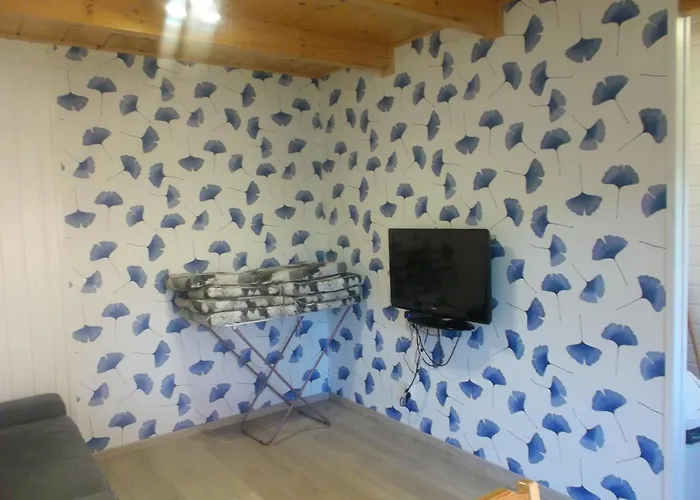 Letniskowe U Joli - Jolanta Potrykus *